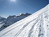 IMG_1733.jpg