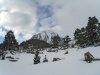 IMG_1246.jpg