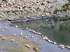 PICT0086.JPG