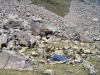 PICT0115.JPG