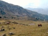 Pict0141.jpg