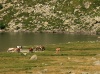 IMG_0091.JPG