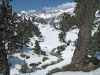 IMG_1205.jpg