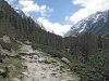 IMG_1265.jpg