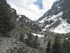 IMG_1267.jpg