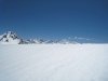 IMG_1331.jpg