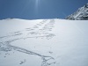 IMG_1096.jpg