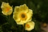 IMG_0073.JPG
