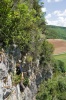 IMG_3323.jpg